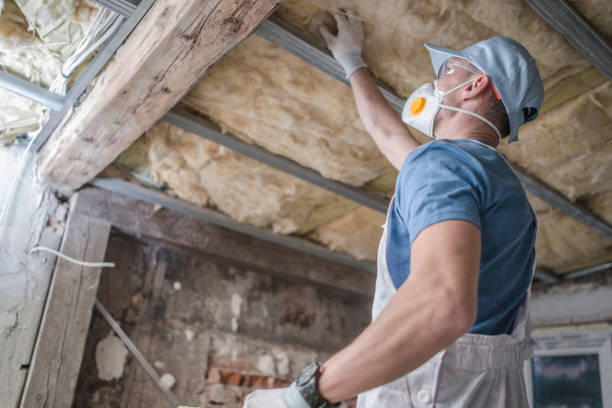 Best Insulation Installation Cost  in Oglesby, IL