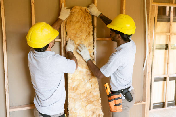 Best Local Insulation Services  in Oglesby, IL