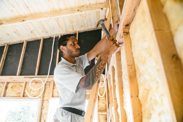 Best Residential Insulation Services  in Oglesby, IL