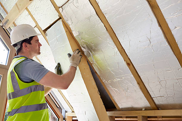 Best Best Insulation Companies  in Oglesby, IL